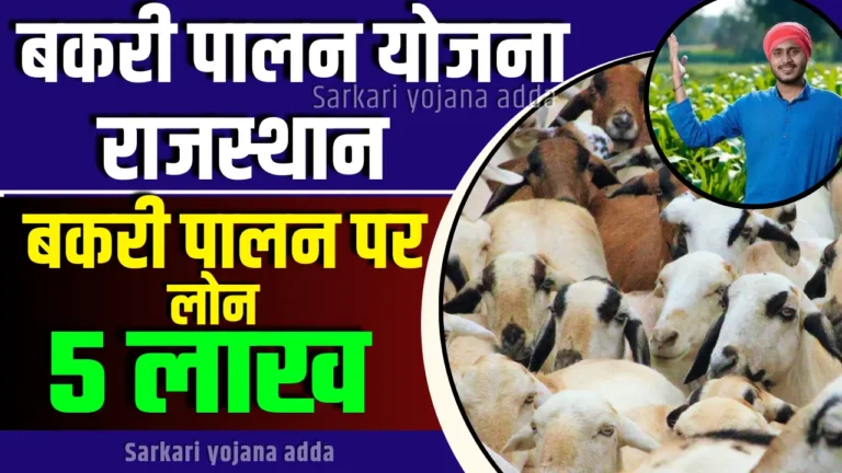 Rajasthan Bakri Palan Yojana 2024